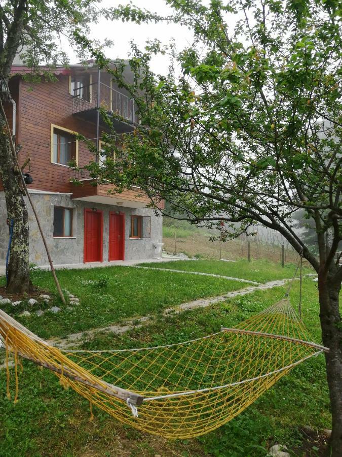Ayder Palas Apart Hotel Exteriér fotografie